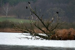 Killikus&reg; Fotographie